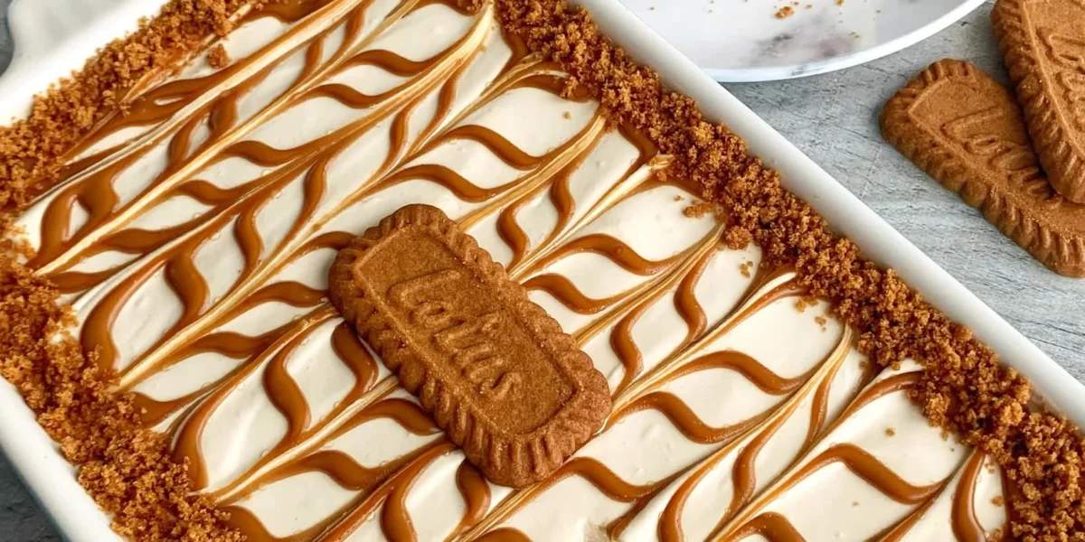 Biscoff Lasagne Tiramisu